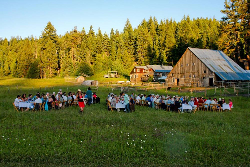 farm to table dinner event